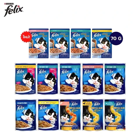 Felix Cat Pouch