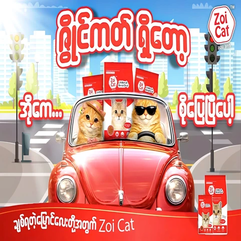 Zoi Cat Dry Food