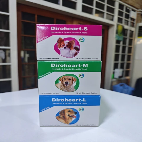 Diroheart