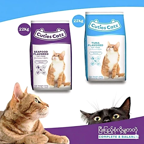 Cuties Catz