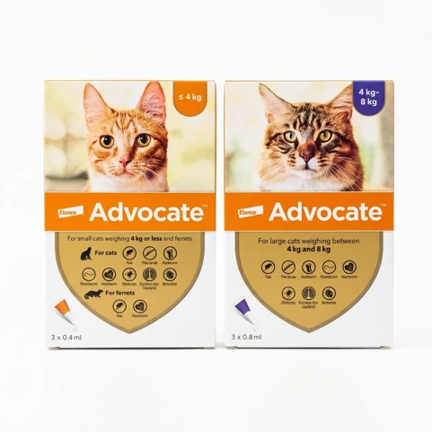 Advocate Cat